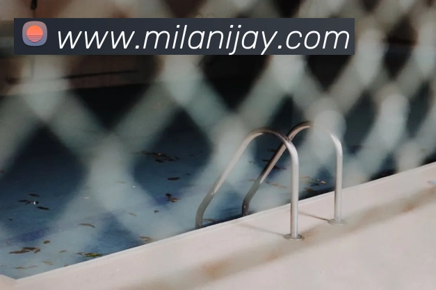 App Interface Preview