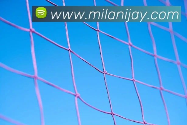 数据防护可视化